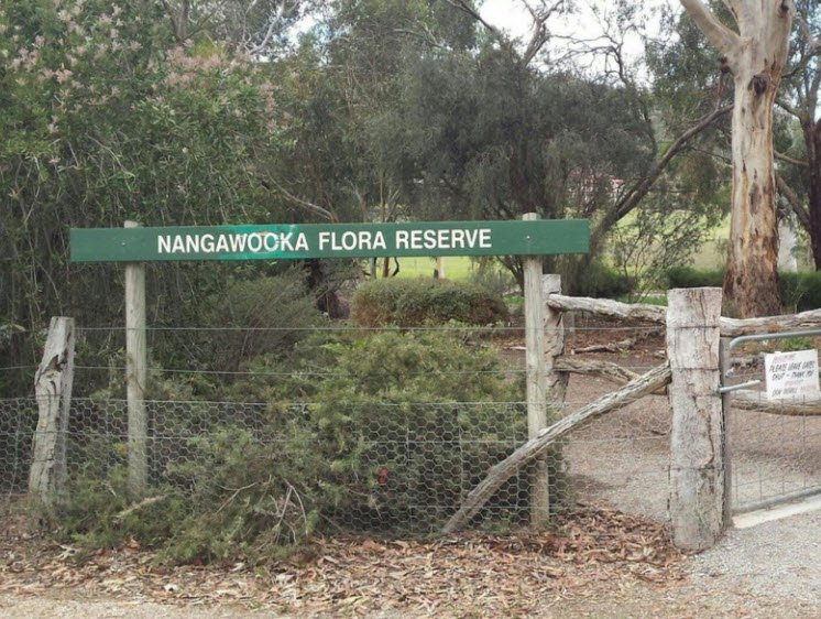 Nangawooka Flora Reserve, Australia